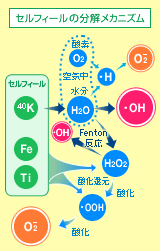 CG}}